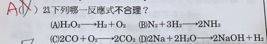 原始作答